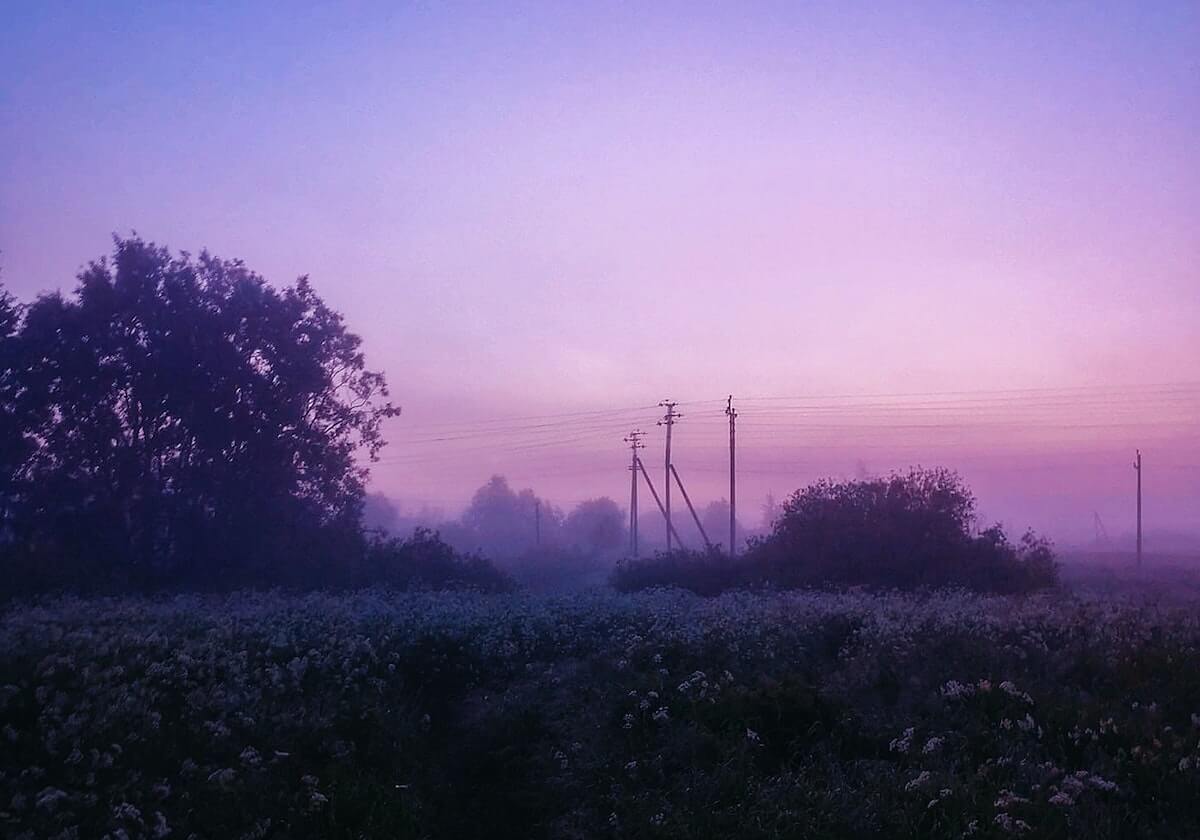 王曼昱出席抽签仪式，樊振东德甲取得两连胜，击败户上隼辅