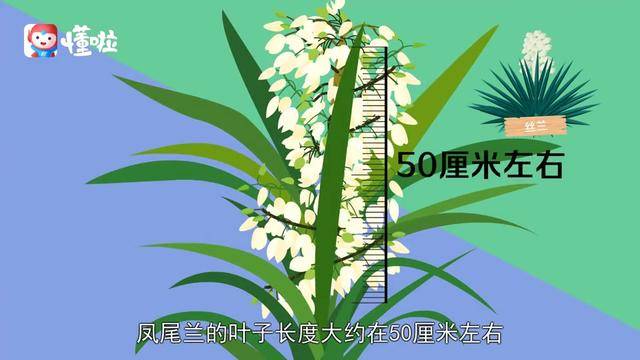 阿贾克斯青年军惊艳，欧冠淘汰赛淘汰皇马